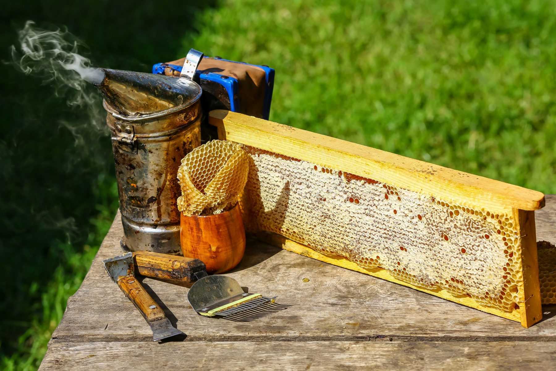 що потрібно для пасіки