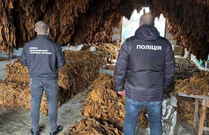 c202924091485e6b5f643c0d42223325