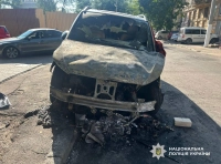 поджигатели авто (5)