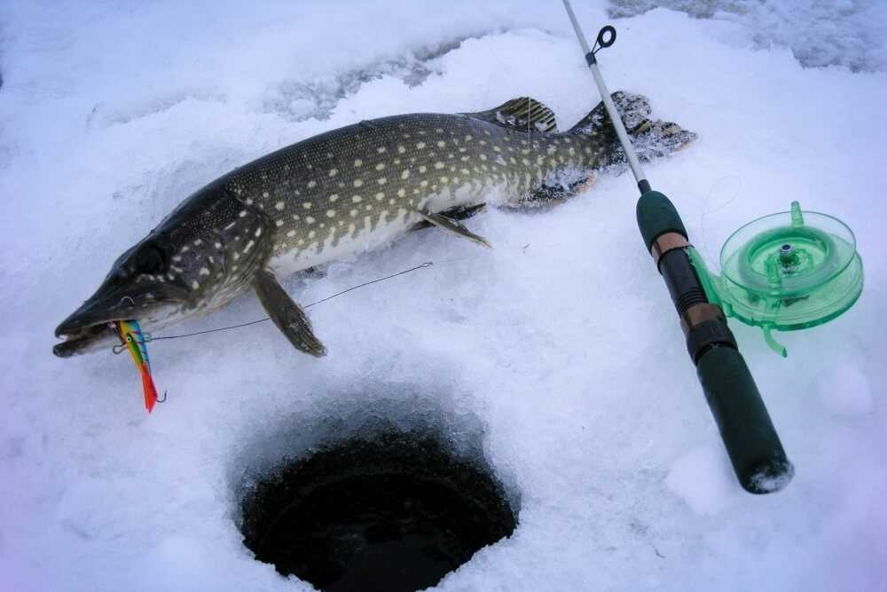 спінінг на щуку