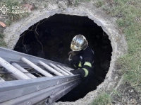 сотрудники ГСЧС спасли собаку