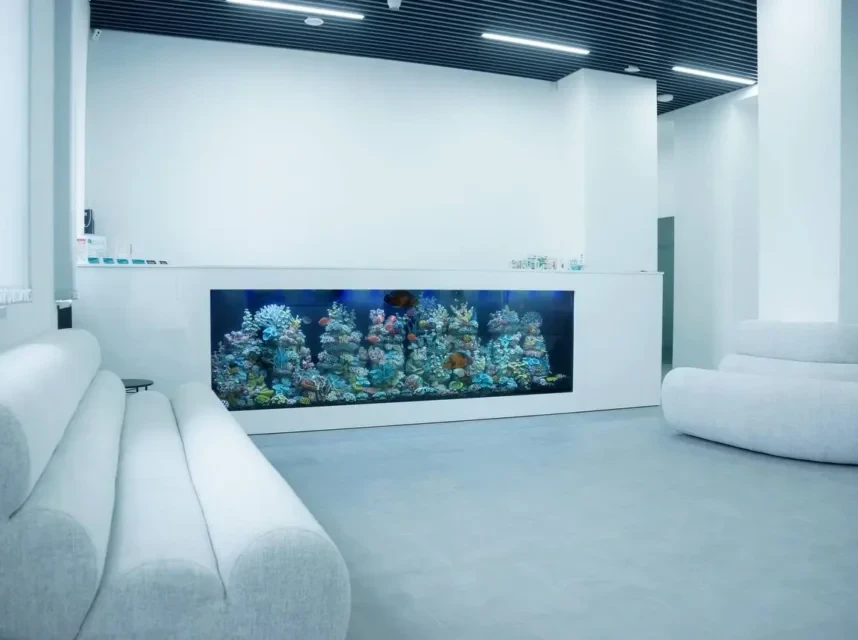 современная стоматология