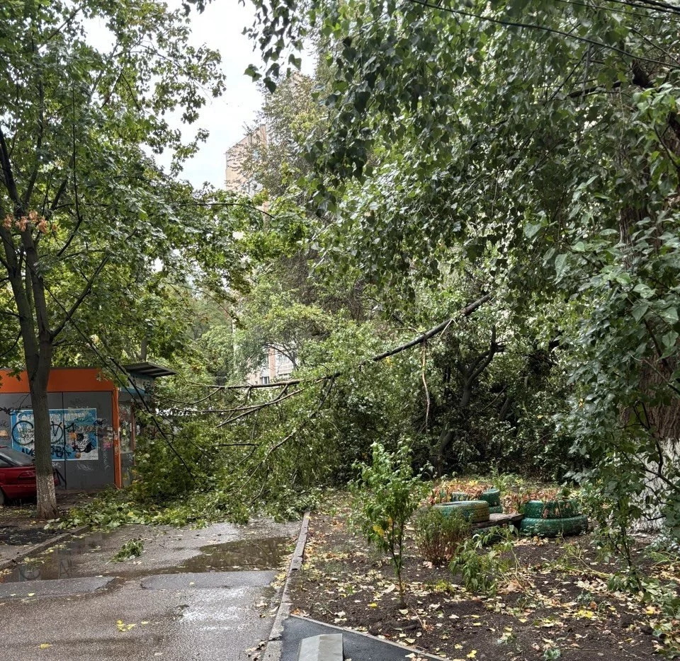Одесу затопило: стихія повалила дерева через зливу та шквальний вітер