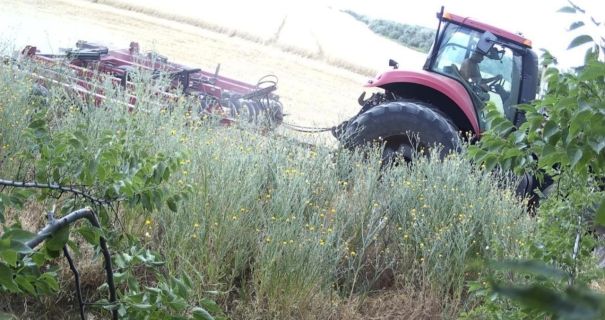 Ексголова сільради на Одещині постане перед судом за мільйонні оборудки з землею